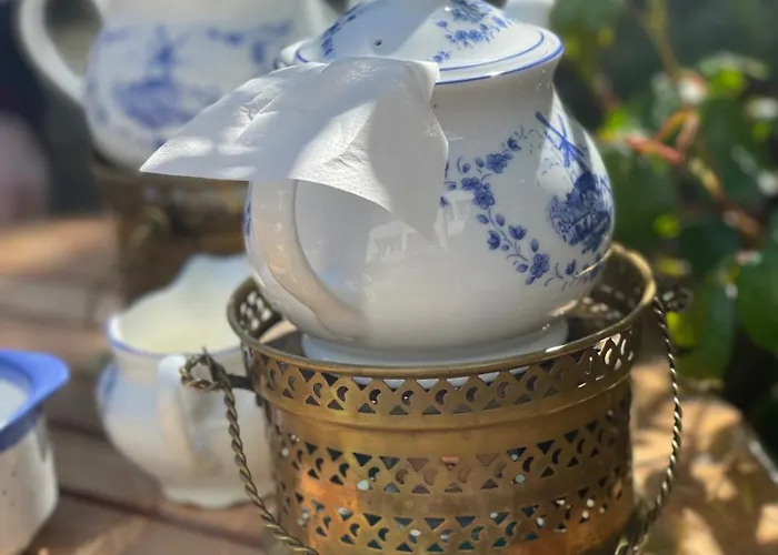 Steuerbordkajuete 단가스트